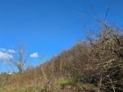 Terreno in vendita a Monghidoro BO