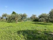 Terreno in vendita a Moniga del Garda BS