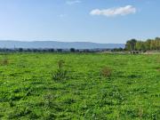 Terreno in vendita a Monopoli BA