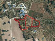 Terreno in vendita a Monopoli BA