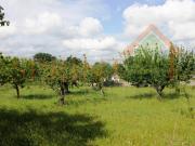 Terreno in vendita a Monopoli BA