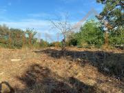 Terreno in vendita a Monopoli BA