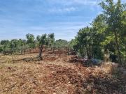 Terreno in vendita a Monopoli BA