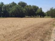 Terreno in vendita a Monsummano Terme PT