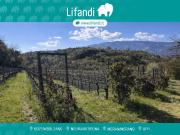 Terreno in vendita a Montagna BZ