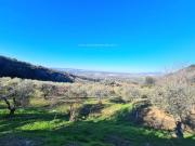 Terreno in vendita a Montaione FI