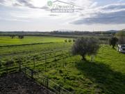 Terreno in vendita a Montalto di Castro VT