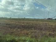 Terreno in vendita a Montalto di Castro VT