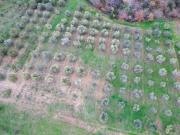 Terreno in vendita a Montalto di Castro VT