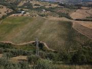 Terreno in vendita a Montalto Uffugo CS