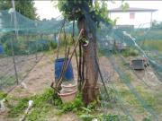 Terreno in vendita a Montano Lucino CO