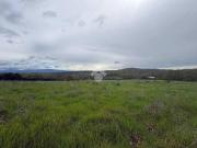 Terreno in vendita a Monte Romano VT