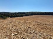 Terreno in vendita a Monte Romano VT