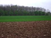 Terreno in vendita a Montebelluna TV