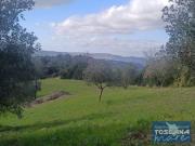 Terreno in vendita a Montecatini Val di Cecina PI