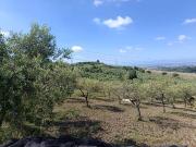 Terreno in vendita a Montecorvino Pugliano SA
