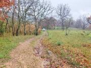 Terreno in vendita a Montecorvino Pugliano SA