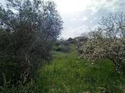 Terreno in vendita a Montefiascone VT