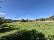 Terreno in vendita a Montefiascone VT