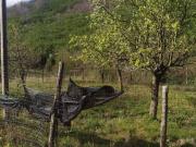 Terreno in vendita a Monteforte Irpino AV Terreno in vendita a Monteforte Irpino AV