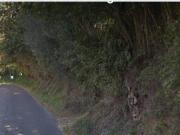 Terreno in vendita a Montelibretti RM