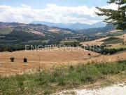 Terreno in vendita a Montelparo FM