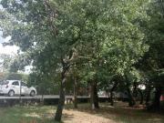 Terreno in vendita a Montemiletto AV