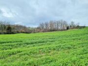 Terreno in vendita a Montemiletto AV