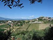 Terreno in vendita a Monteprandone AP