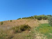 Terreno in vendita a Monteprandone AP