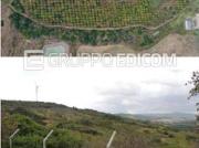 Terreno in vendita a Montescaglioso Rif. 4516080