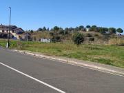 Terreno in vendita a Montescudaio PI