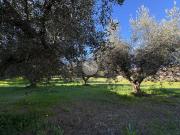 Terreno in vendita a Montesilvano PE