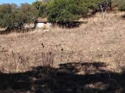 Terreno in vendita a Monti SS