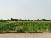 Terreno in vendita a Montichiari BS