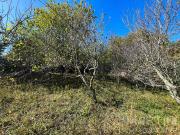 Terreno in vendita a Montieri GR