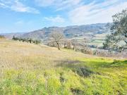 Terreno in vendita a Montone PG