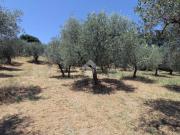 Terreno in vendita a Montopoli di Sabina RI