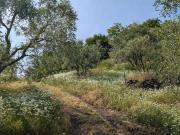 Terreno in vendita a Montorso Vicentino VI