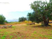 Terreno in vendita a Morciano di Leuca LE