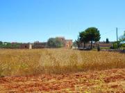 Terreno in vendita a Morciano di Leuca LE