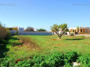 Terreno in vendita a Morciano di Leuca LE