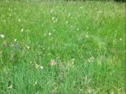 Terreno in vendita a Moruzzo UD