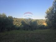 Terreno in vendita a Moscufo PE