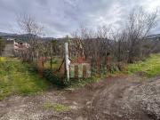 Terreno in vendita a Mugnano del Cardinale AV