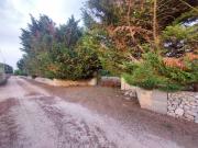 Terreno in vendita a Muro Leccese LE