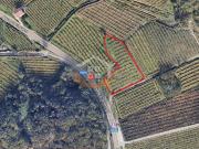 Terreno in vendita a Nago Torbole TN