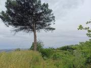 Terreno in vendita a Napoli NA