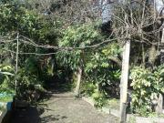 Terreno in vendita a Napoli NA