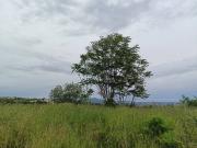 Terreno in vendita a Napoli NA
